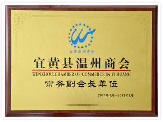 2011-2013�˻��������̻�-���񸱻᳤��λ